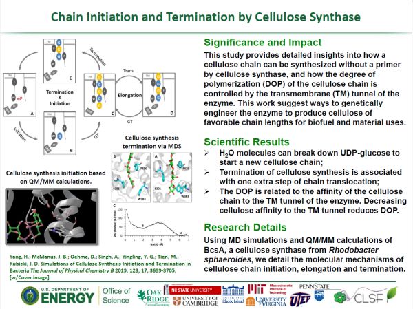 Research highlight from James Kubicki about cellulose chain initiation and termination